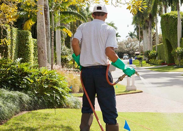 About Himrod NY Pest Control